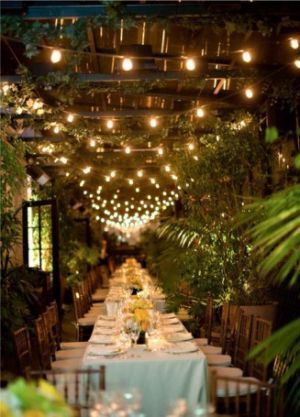table set for christmas dinner beneath fairy lights and plants.